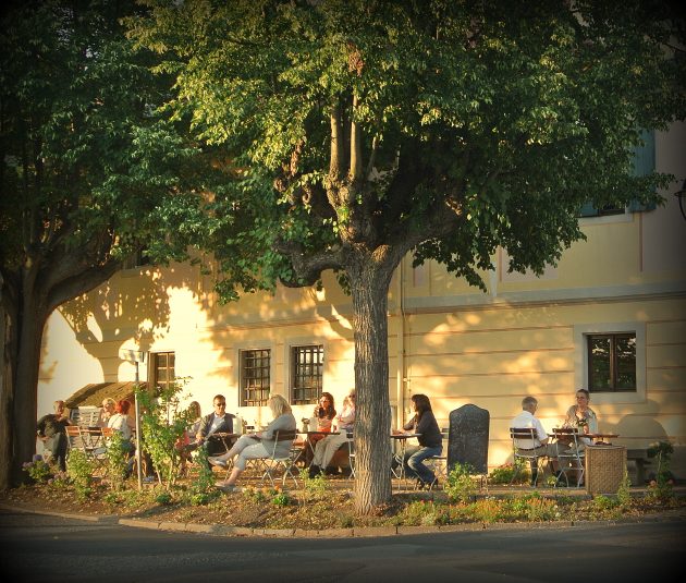 Unser Lindenterrasse ist ein beliebter Treffpunkt.