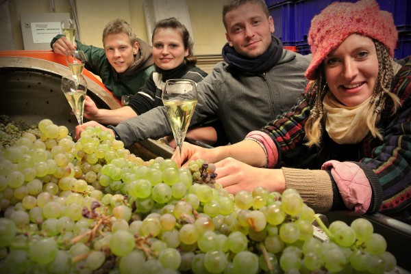 Weinlese Abschluss 2012